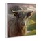 Stupell Industries Butterscotch Highland Cow Wall Plaque, design by Collin Bogle